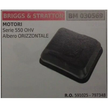 591025 797348 SERBATOIO COMPLETO MOTORE BRIGGS & S