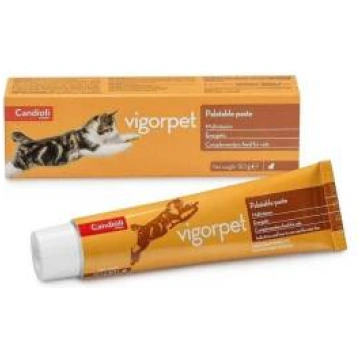 Candioli Vigorpet multivitamīnu pasta kaķiem, 50 g