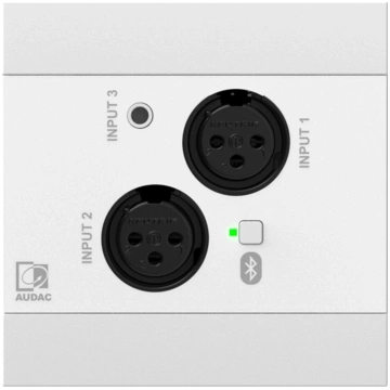 Audac AUDAC NWP320/W Sieciowy panel wejściowy audi
