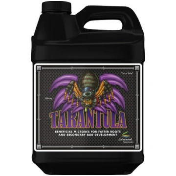 1L Amnesia.lt