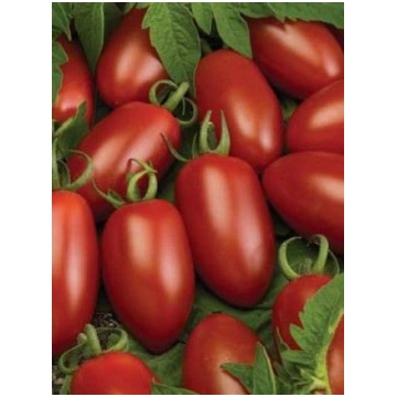Tomāti Caprese F1 10 sēklas, Tomāti , Dārzeņu sēkl