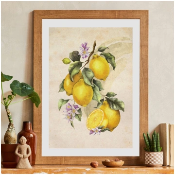 VT Plakāts "Citroni"// 35 x 50 cm - Lotte's P