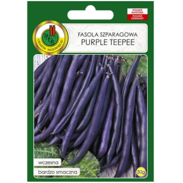 Pupiņas sparģeļu Purple Teepee 30g Darzinam.lv