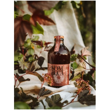 Pūķgalves un aroniju kombuča (10x330ml)