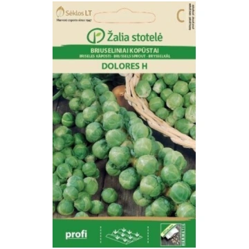 BRISELES KĀPOSTI DOLORES H Žalia stotelė