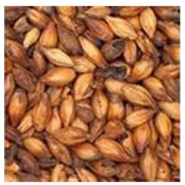 Pale šokolādes miežu iesals (Lielbritānija) - 1kg 