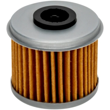 EĻĻAS FILTRS POLARIS 2521231