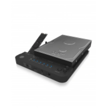 IB-2913MCL-C31 Clone- & DockingStation for two M.2