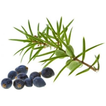 Kadiķogas (Juniperus Communis berries) ēteriskā eļ