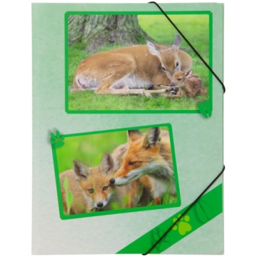 *Mape ar gumiju FOREST ANIMALS, A4