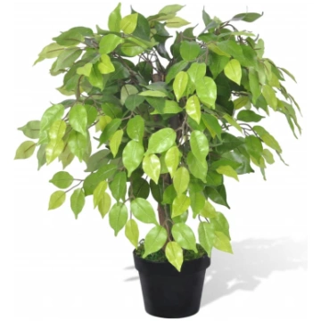 Mākslīgais dwarf ficus augs ar podu, 60 cm