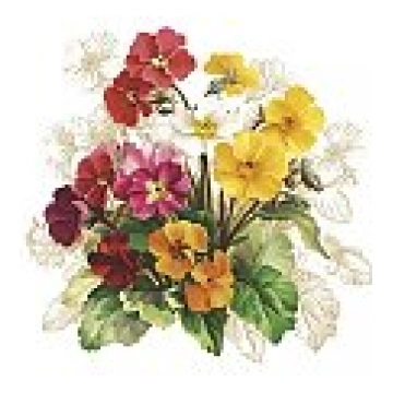 Salvetes dekupāžai "Vintage Primrose Bunch", 33x33