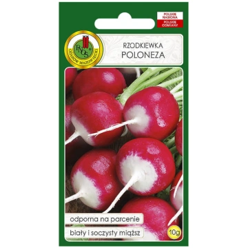 Redīsi Poloneza 10g Darzinam.lv