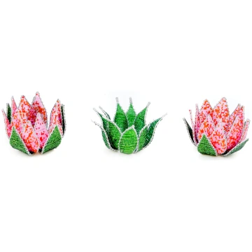 Protea Simba