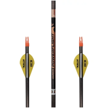 Easton Power Flight karbona bulta lokam