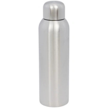 Tērauda pudele GUZZLE sudraba 820ml