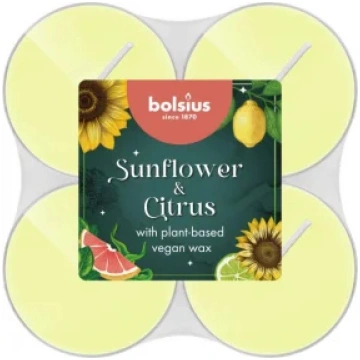 Āromātiskās tējas sveces Sunflower&Citrus, 8 gabal
