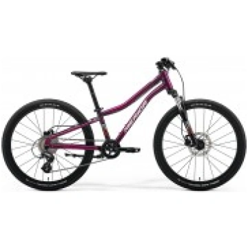 Bērnu velosipēds Merida Matts J.24 I2 silk purple 