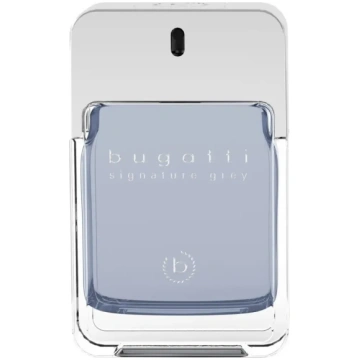 Bugatti, Grey, Eau De Toilette, For Men, 100 ml *T