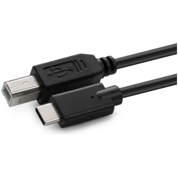 USB-C to USB 2.0 B Cable 3m USB3.1C2B3 57041749324