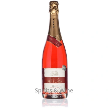 Cava Castillo Perelada Brut Rosado