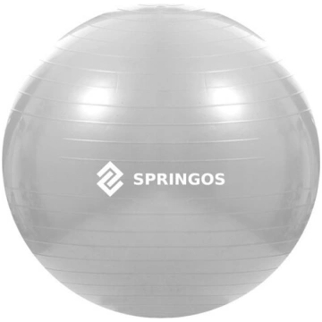 Vingrošanas bumba ar pumpi Springos FB0008 75cm