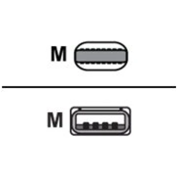 BASEUS Lightning cable - Lightning / USB - 1.2 m C