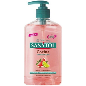 Roku ziepes ar dozatoru Antibacterias Kitchen Sany