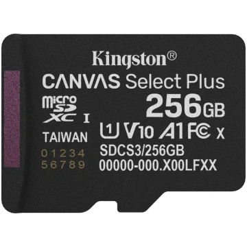 Kingston Canvas Select Plus MicroSDXC karte 256 GB
