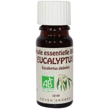 Ekoloģiskā eikalipta ēteriskā eļļa 10ml