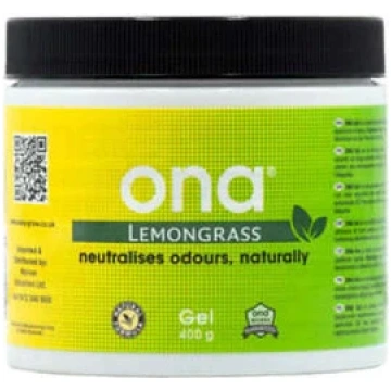 0.5L Amnesia.lt