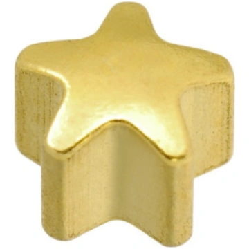24ct Z Zvaigznes, auskariņi, formas, pāris 2YST CA