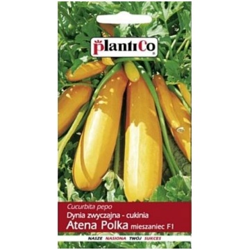 Kabacis Atena Polka 2gr, PC, Polan Polija, Sēklas 