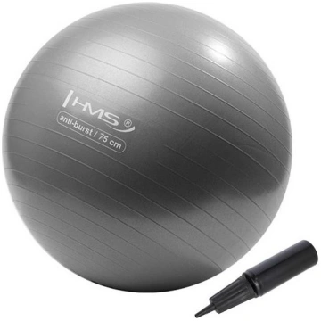 YB02N 75CM GRAY GYM BALL HMS