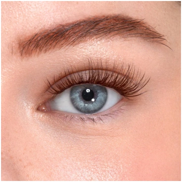 Classy Brown - Regular Lash Clusters CIGLISSIME