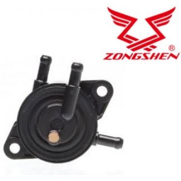 SŪKNIS BRIGGS&STRATTON HONDA KAWASAKI KOHLER 10-01