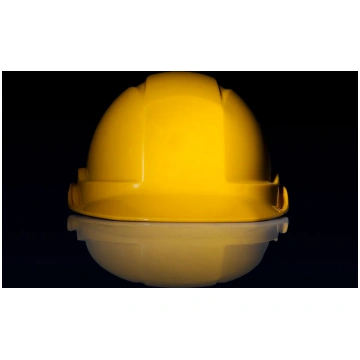 Campi Elettromagnetici EARTHCAREGROUP