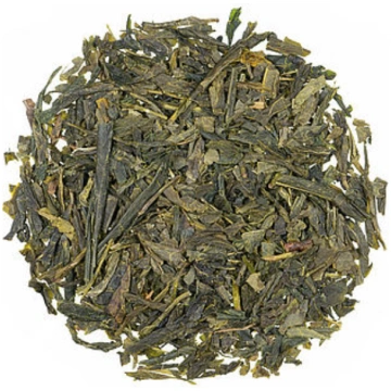 Sencha China