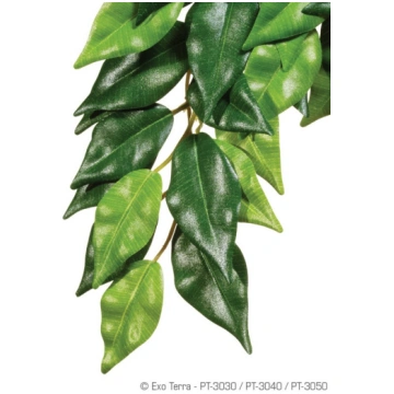 Exo Terra Silk Plant Ficus Large PT3050