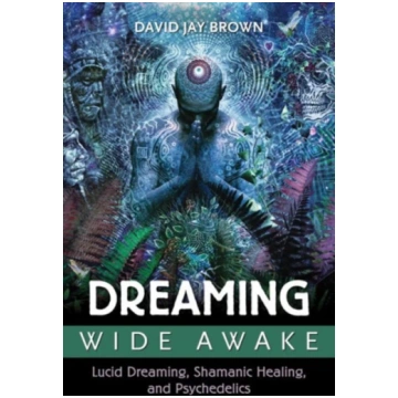 Dreaming Wide Awake David Jay Brown