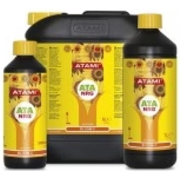 1L Amnesia.lt
