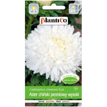 Asteres peoniju baltas Jolanta . 1g