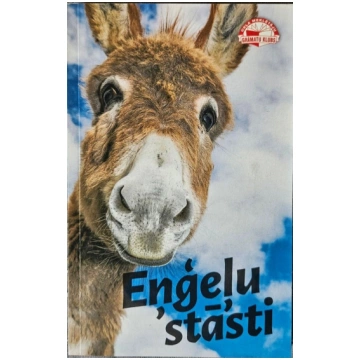 Lietots - Eņģeļu stāsti - Helēna Lī Robinsone