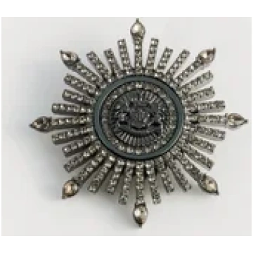 PIN CREST BURST - Piespraude - silver-coloured