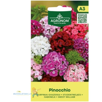 Sēklas studentu neļķes Pinocchio 0.5g 34605