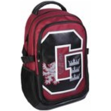 Cerda - Harry Potter Backpack Casual