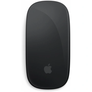 Mouse Magic Mouse black