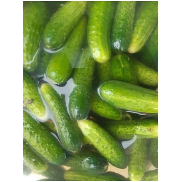 Mazsālīti gurķi 1l