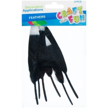Dekoratīvās spalvas melnas 6gab - Craft with Fun