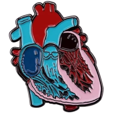 Medicīnas anatomijas sirds brošu piespraudes Medic